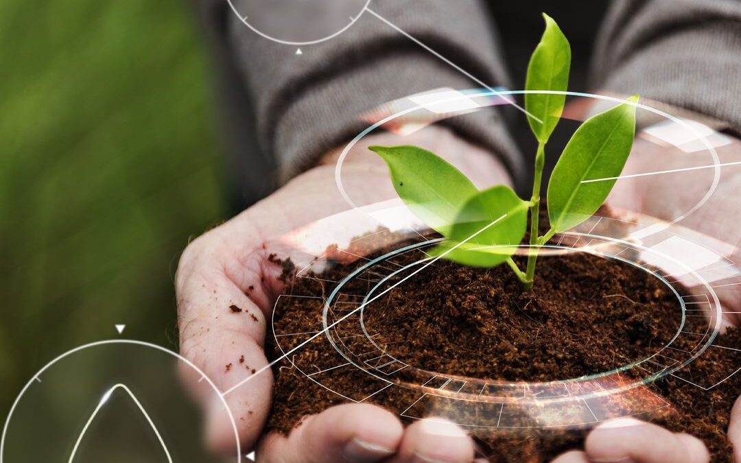 ¿Cuál es la mejor tierra para el cultivo de interior?