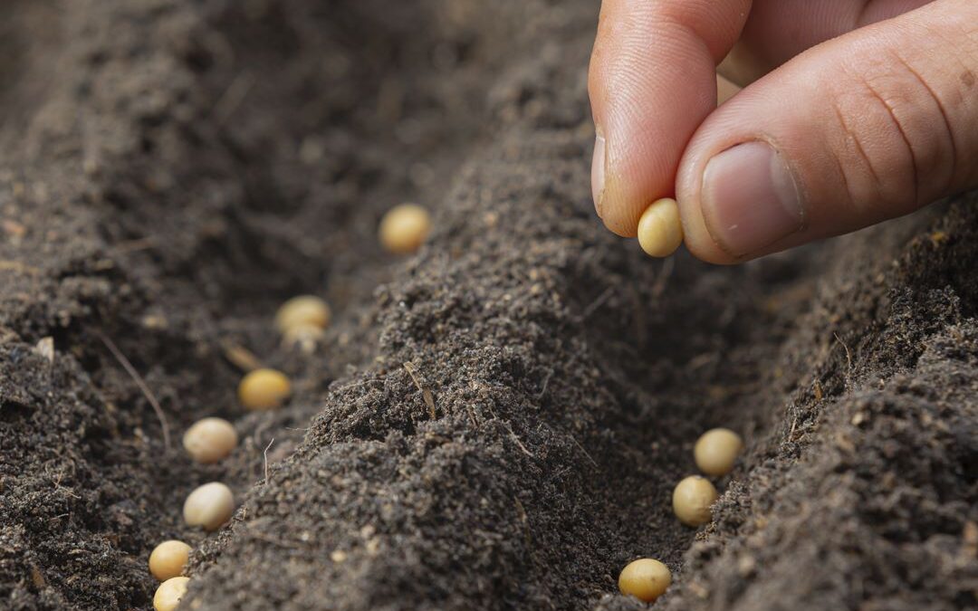 Agricultura Regenerativa